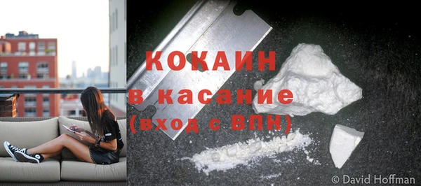 прущие крисы Богданович