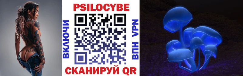 где найти   Кизилюрт  Галлюциногенные грибы мицелий 
