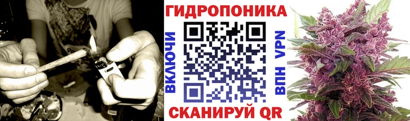 Канабис OG Kush Кизилюрт